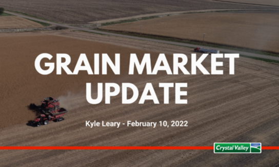 Grain Update